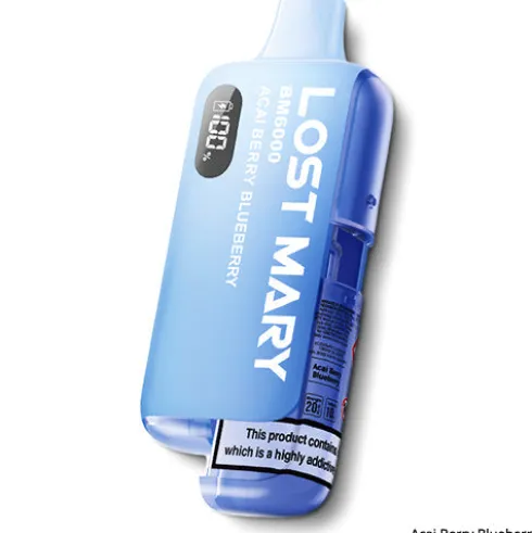 BM6000 Prefilled Pod Kit by Lost Mary