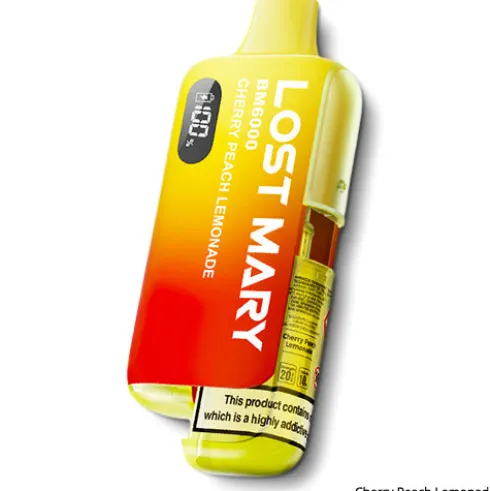 BM6000 Prefilled Pod Kit by Lost Mary