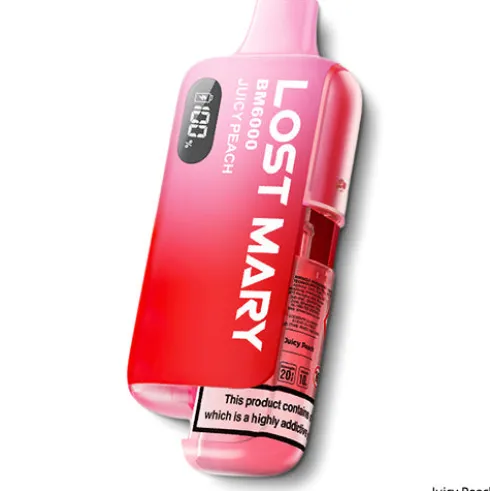 BM6000 Prefilled Pod Kit by Lost Mary