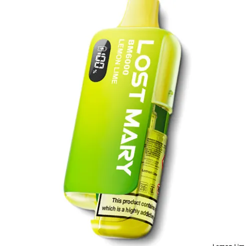 BM6000 Prefilled Pod Kit by Lost Mary