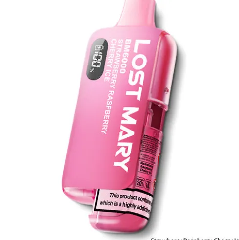 BM6000 Prefilled Pod Kit by Lost Mary