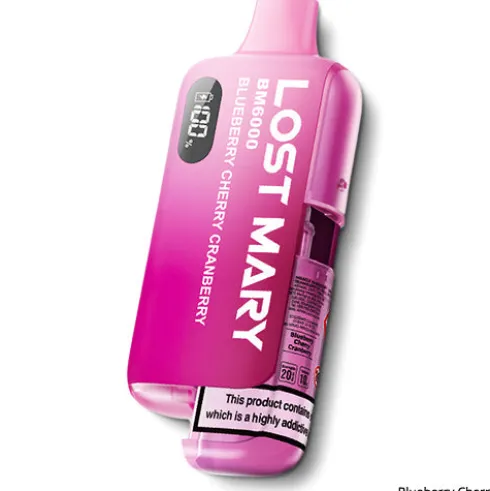 BM6000 Prefilled Pod Kit by Lost Mary